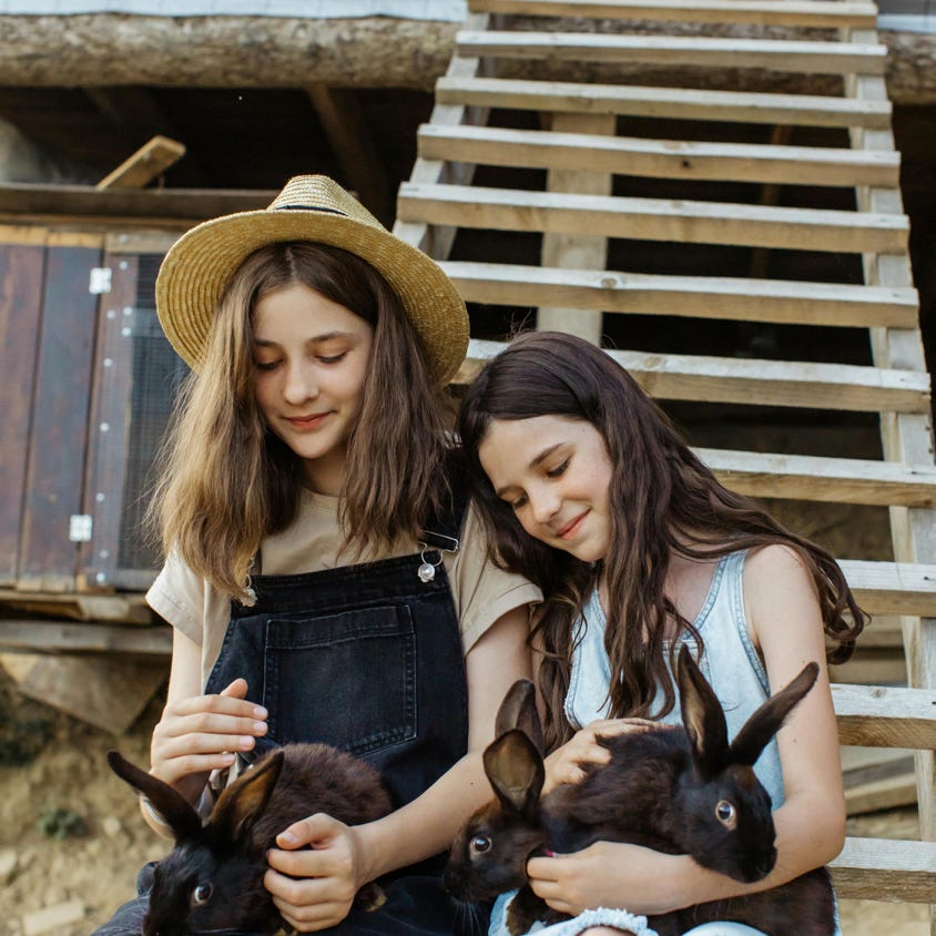 Two girls sitting on wooden steps, smiling and holding black rabbits in a rural setting.